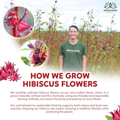 Indochine Blends Hibiscus Tea Bags, 100% Pure Hibiscus Flower