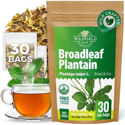 30 Bags Plantain Leaf Herb Tea Dried Plaintains Leaves (Plantago Major) - 30 Count 2g Tea Bags Greater Broadleaf Plantain Leaf Llanten