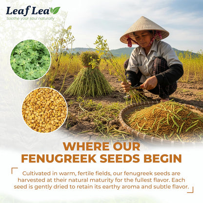 LeafLea Fenugreek Tea Bags, Whole Methi Seed Tea, 80 Count Value Pack
