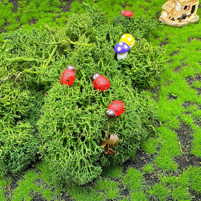Cayway 26 PCS Outdoor Fairy Garden Miniatures Mini Zen Garden Accessories, Artificial Grass, Model Trees, Terrarium Ornaments, Dollhouse Supplies, Bonsai Decorative Craft Tools Kit