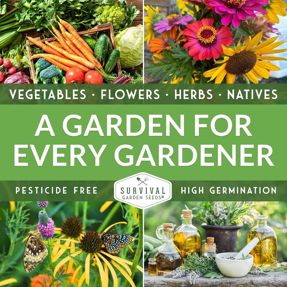 Stinging Nettle Seeds for Planting - 2 Packs