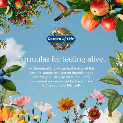 Garden of Life Organics Extra Strength Turmeric Supplement, 120 Tablets