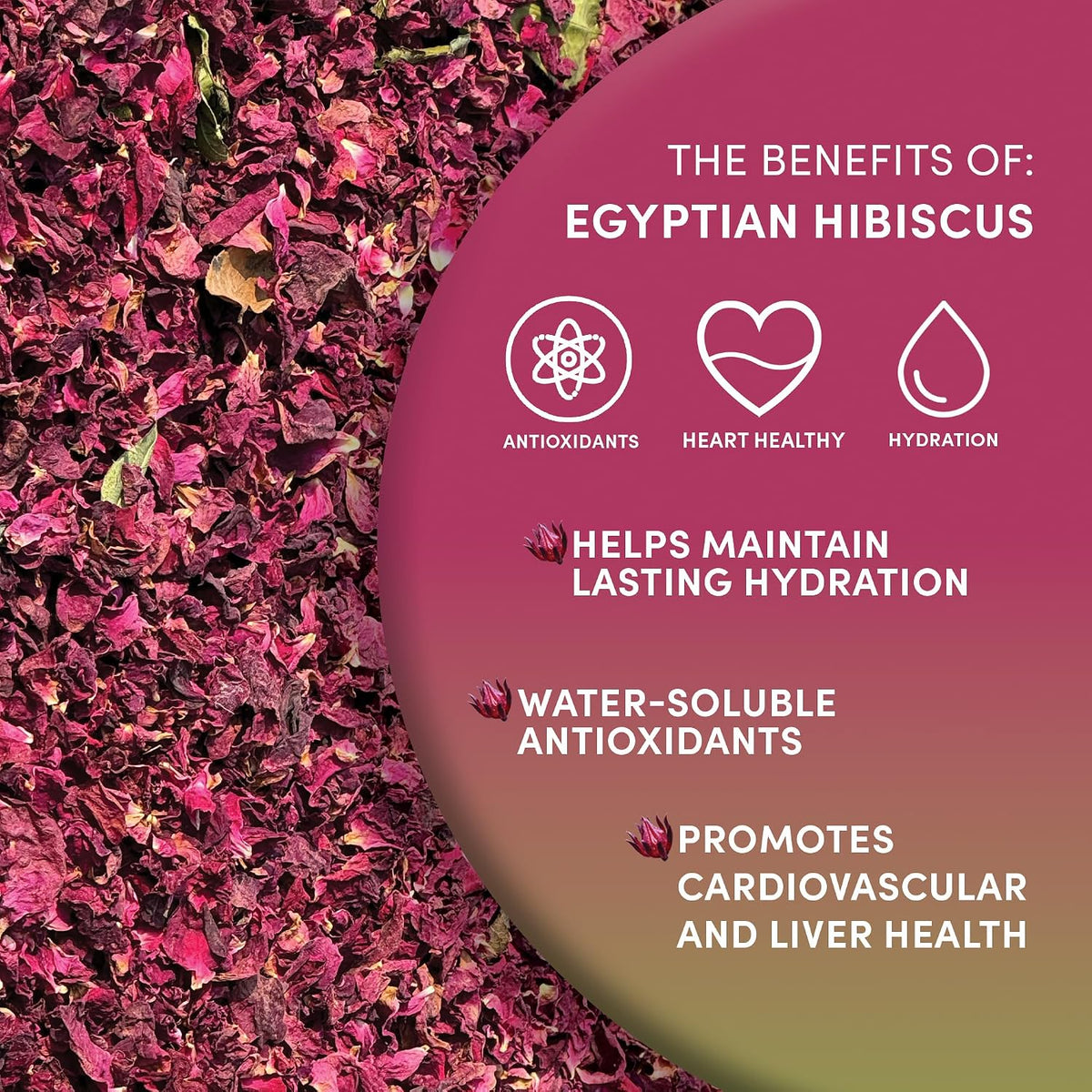 Worldwide Botanicals Organic Hibiscus Tea – 8 oz, Loose Leaf, Cut and Sifted – 100% Egyptian Hibiscus sabdariffa AKA Karkade, Roselle, Sorrel, Zobo, Flor de Jamaica