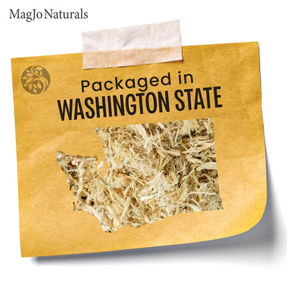 MagJo Naturals Lemon Balm Tea, Bulk Herbal Tea, Loose Leaf Melissa Officinalis, Caffeine Free, Cut and Sifted, 1 pound (16 ounces) (1 pack)