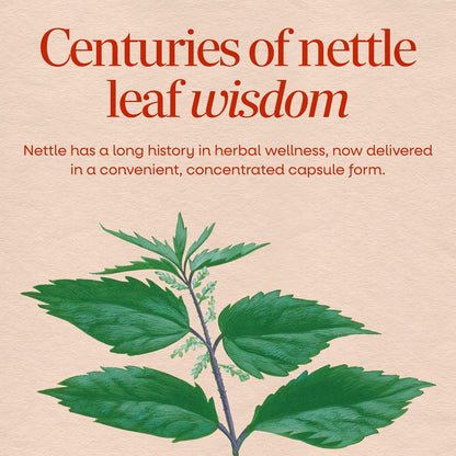 Nature's Way Nettle Leaf, Traditional Urinary Support Supplement*, 100 ct