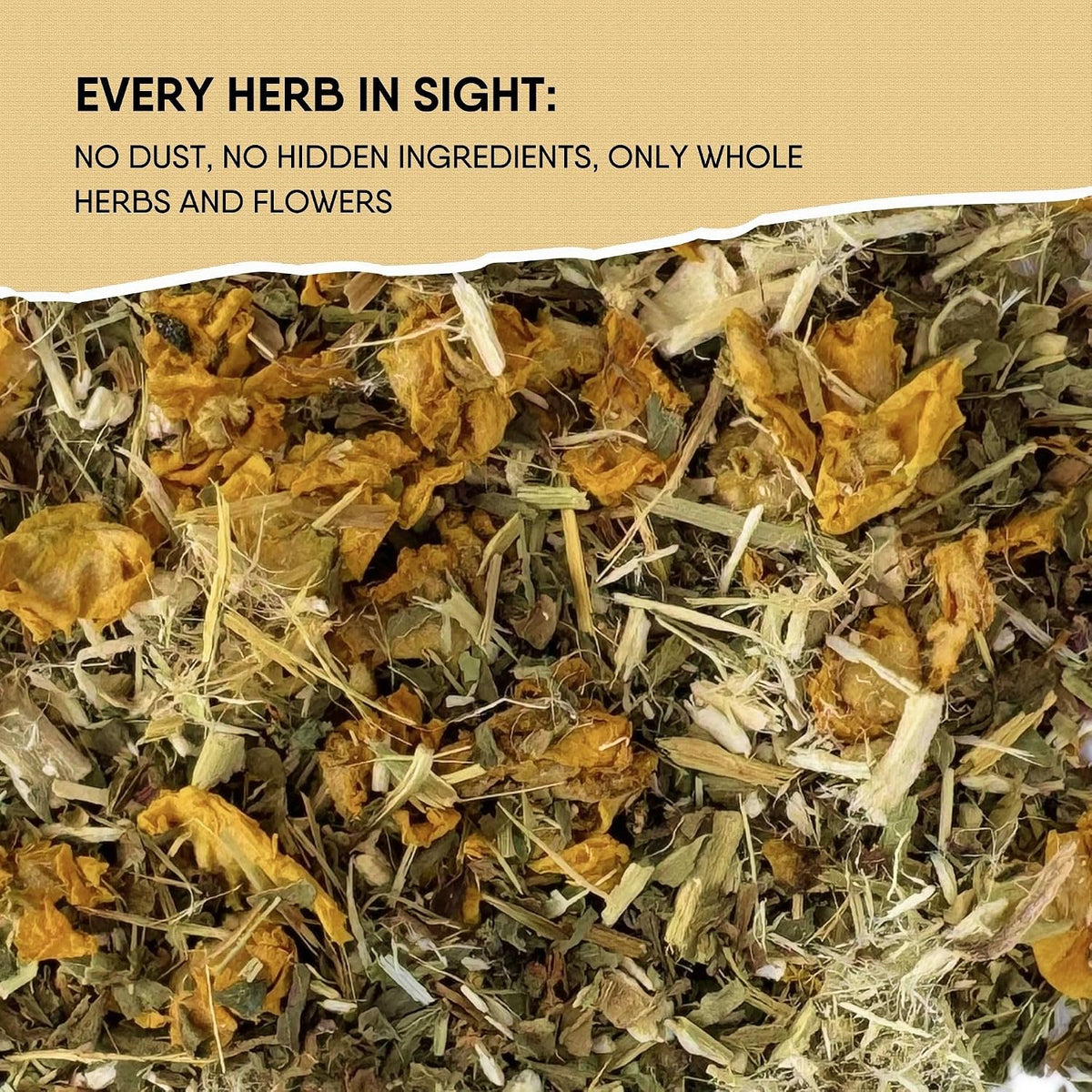 Leckar Cough Season Herbal Tea – Natural Respiratory Support Blend with Mullein, Thyme & Echinacea – Soothes Sore Throat & Hoarse Voice – Lung Health & Immune Boost – Caffeine-Free – 2 oz
