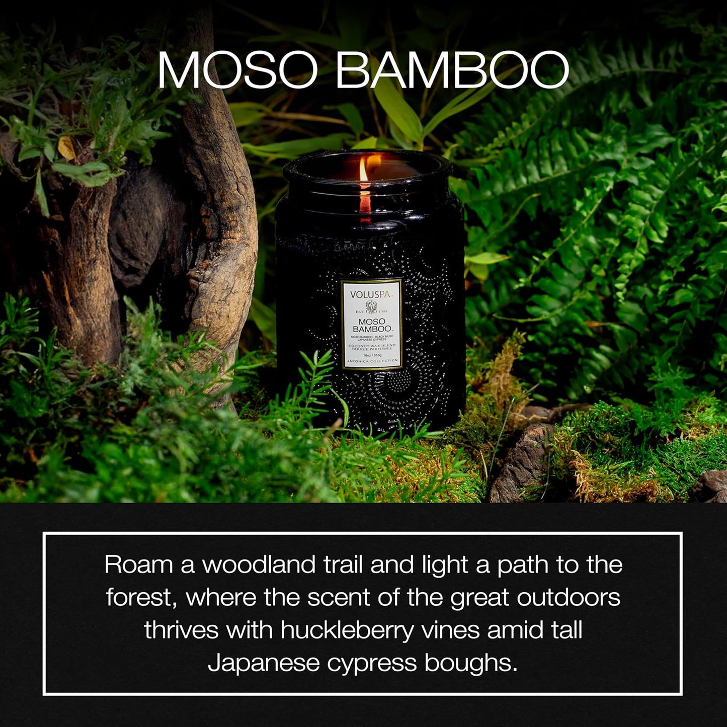 Voluspa Baltic Amber Candle, 18 oz, Coconut Wax Blend, Scented Candles for Home, 100 Hour Burn Time, Candle Jar