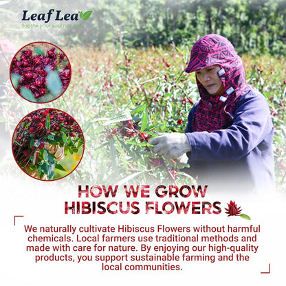 LeafLea Hibiscus Tea Bags, 100% Natural Flower, 160 Count