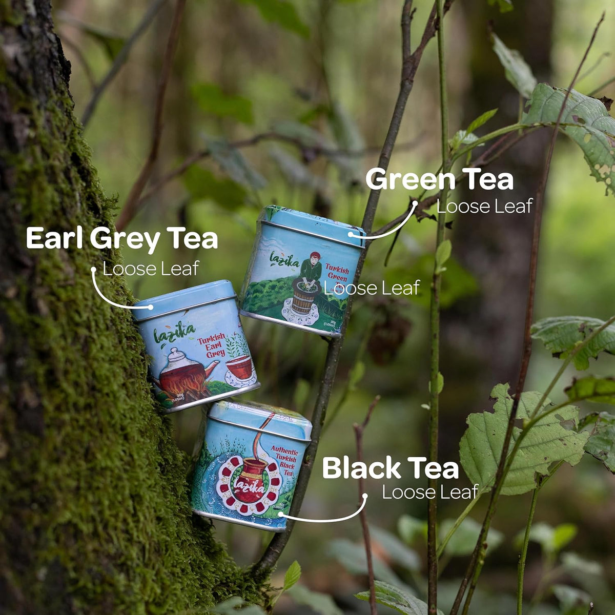 Lazika Loose Leaf Tea Set, Black Tea, Green Tea, Earl Grey, Tea Gift Set, 3.35 Oz (Pack of 3)
