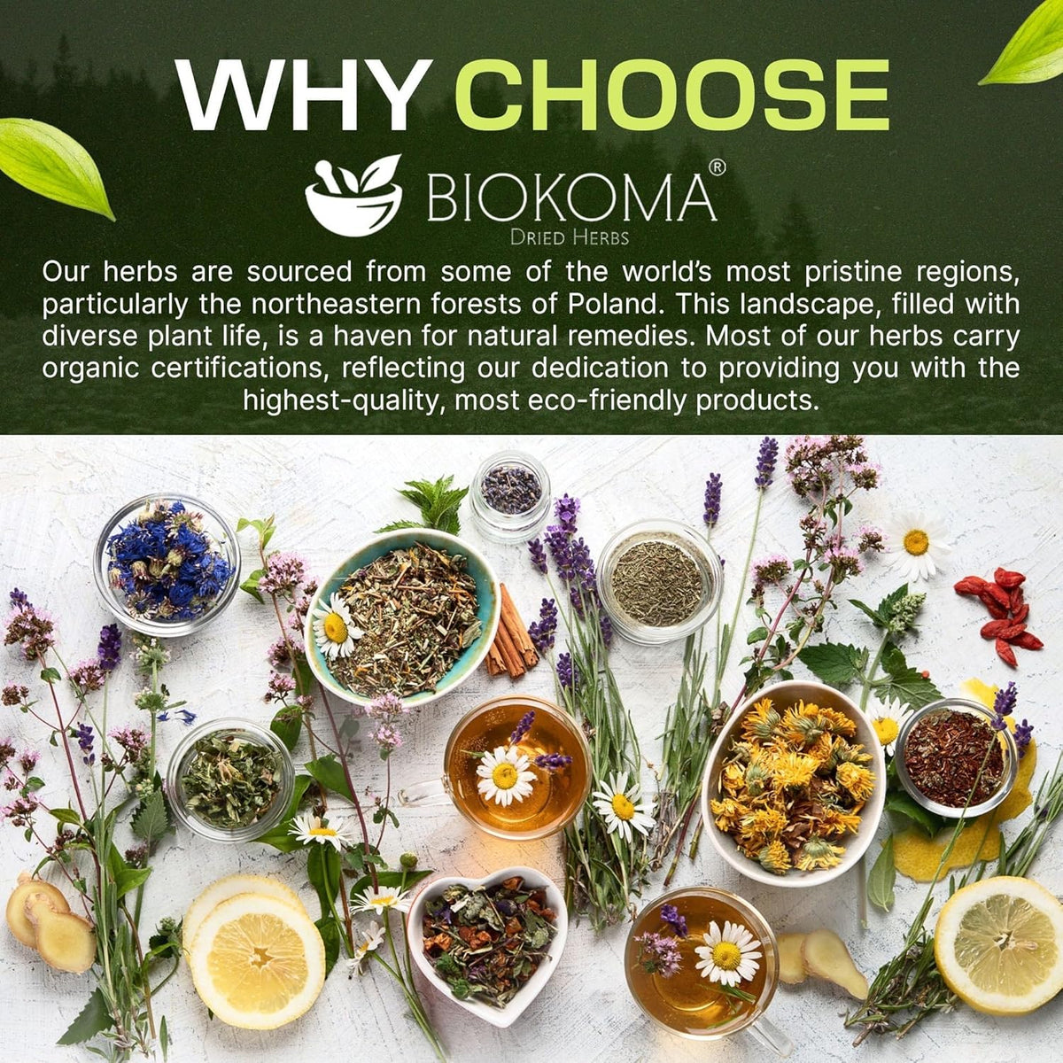 Biokoma Organic Elderberries Herb Tea 3.55oz Immunity & Digestion Support