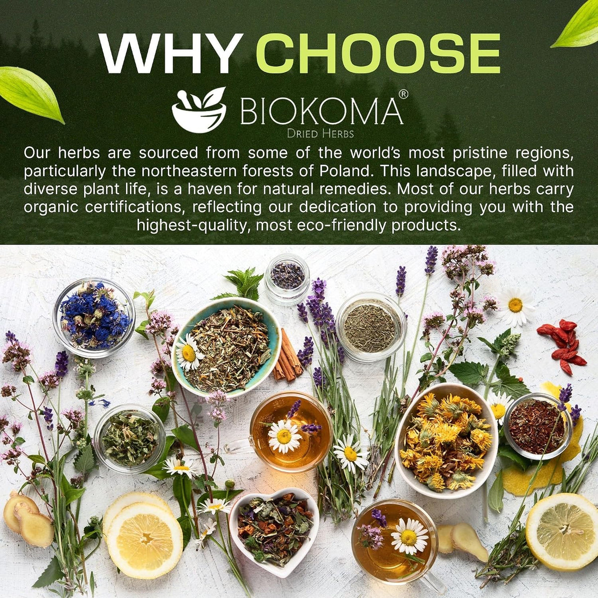 Biokoma Organic Cistus Rock Rose Tea Bags 40 Count Cistus Incanus Dried Leaves USDA Organic Herbal Tea Immune Respiratory Support Resealable Pouch Caffeine-Free Pure No Preservatives Non GMO Kosher