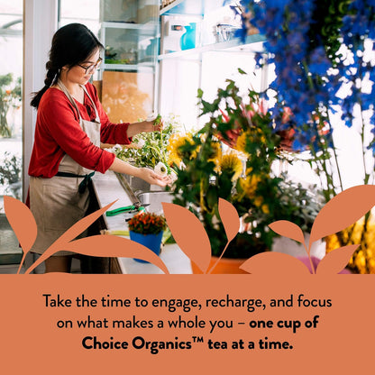 Choice Organics Oolong Tea, 16 Tea Bags (6 Pack)