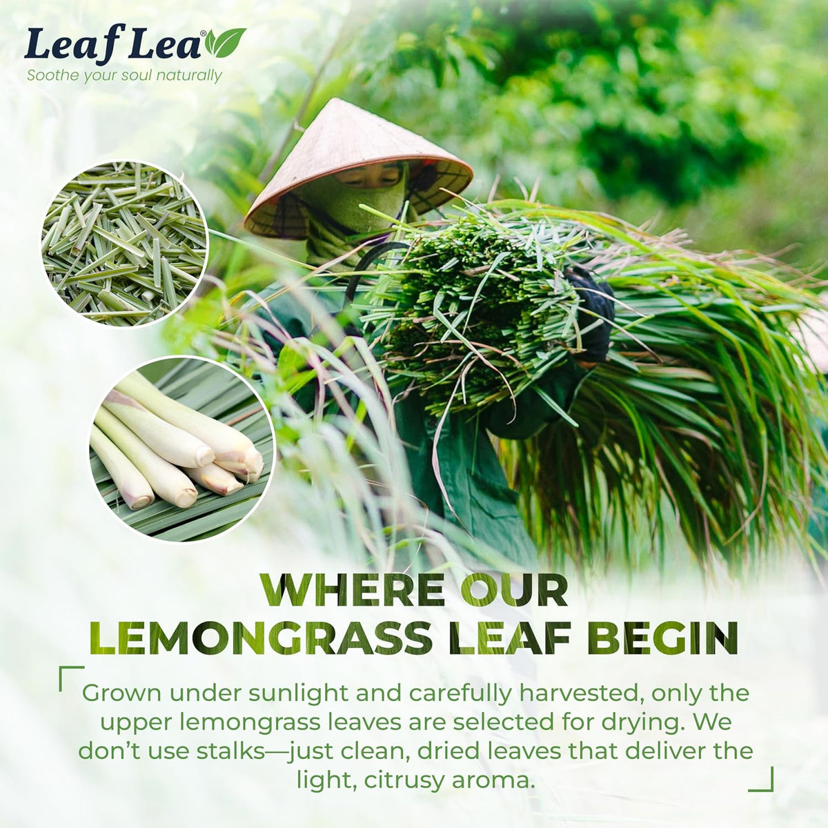 LeafLea Premium Lemongrass Herbal Tea Bags, Digestion Support, 80 Count
