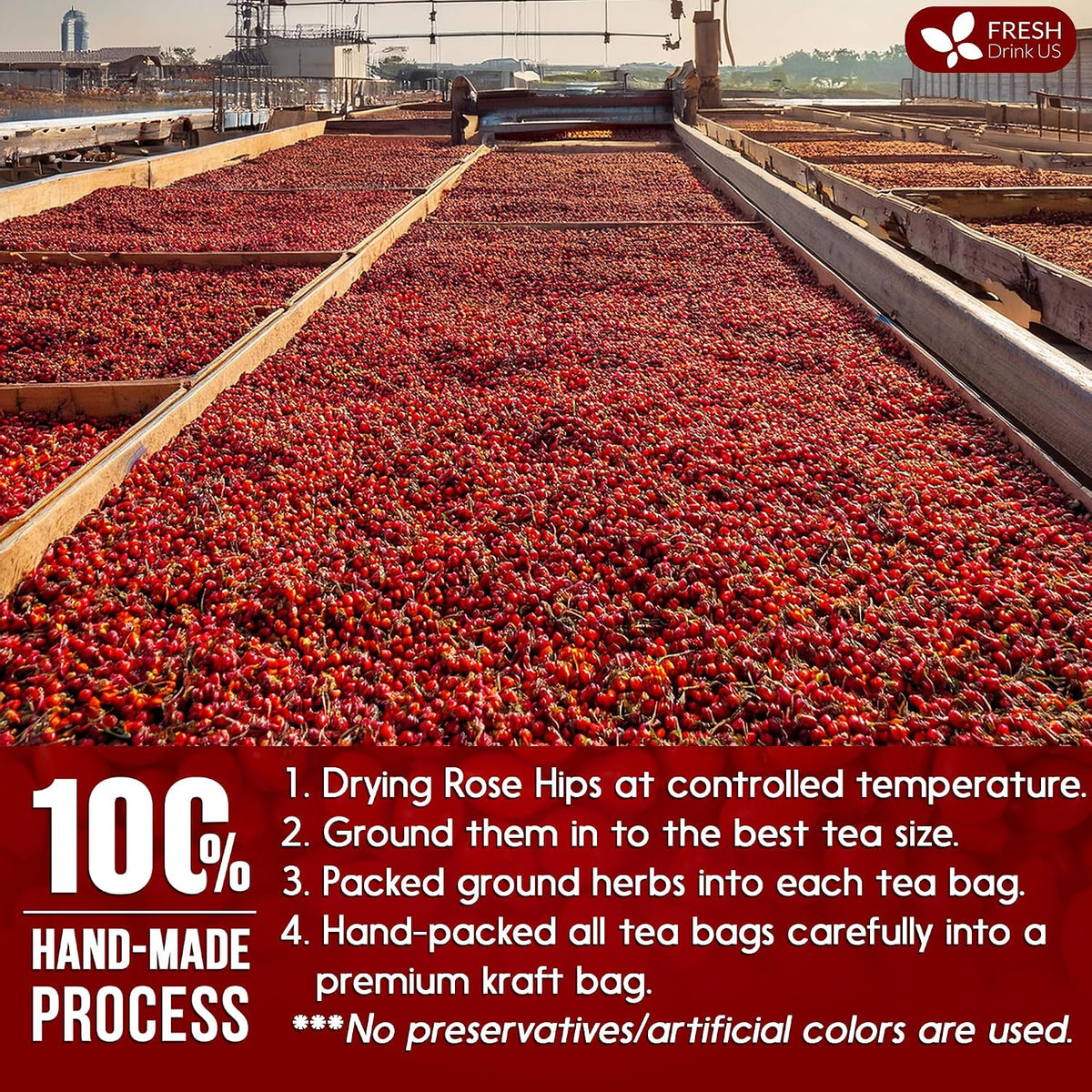 FreshDrinkUS, Premium 75 Rosehip Tea Bags, 100% Natural & Pure. Made with Eco-Conscious Tea Bags. No Sugar, No Caffeine, No Gluten, Vegan.