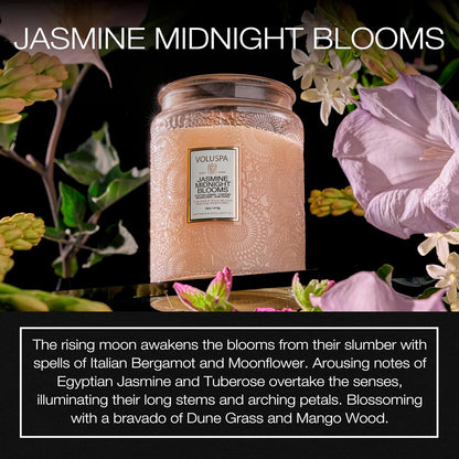 Voluspa Baltic Amber Candle, 18 oz, Coconut Wax Blend, Scented Candles for Home, 100 Hour Burn Time, Candle Jar