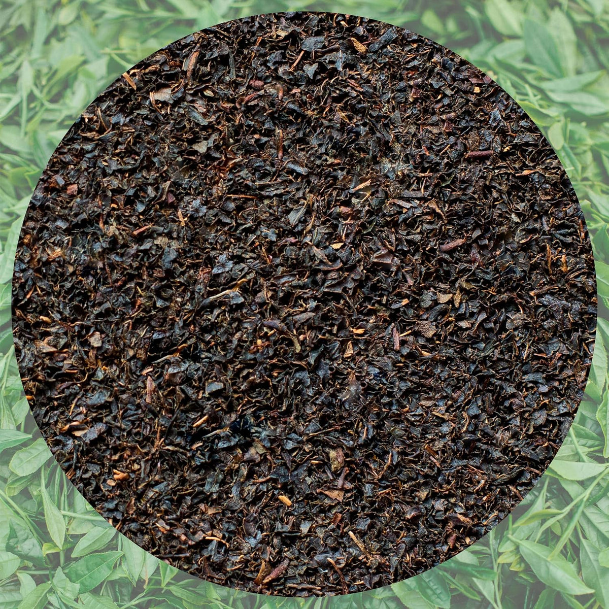 Lazika Loose Leaf Tea Set, Black Tea, Green Tea, Earl Grey, Tea Gift Set, 3.35 Oz (Pack of 3)