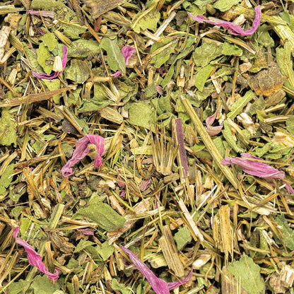 Echinacea Purpurea Loose Leaf Herb (7 oz) | 99 Servings | Organically Grown in Wisconsin | Cut & Sifted | Flowers, Leaves, and Roots