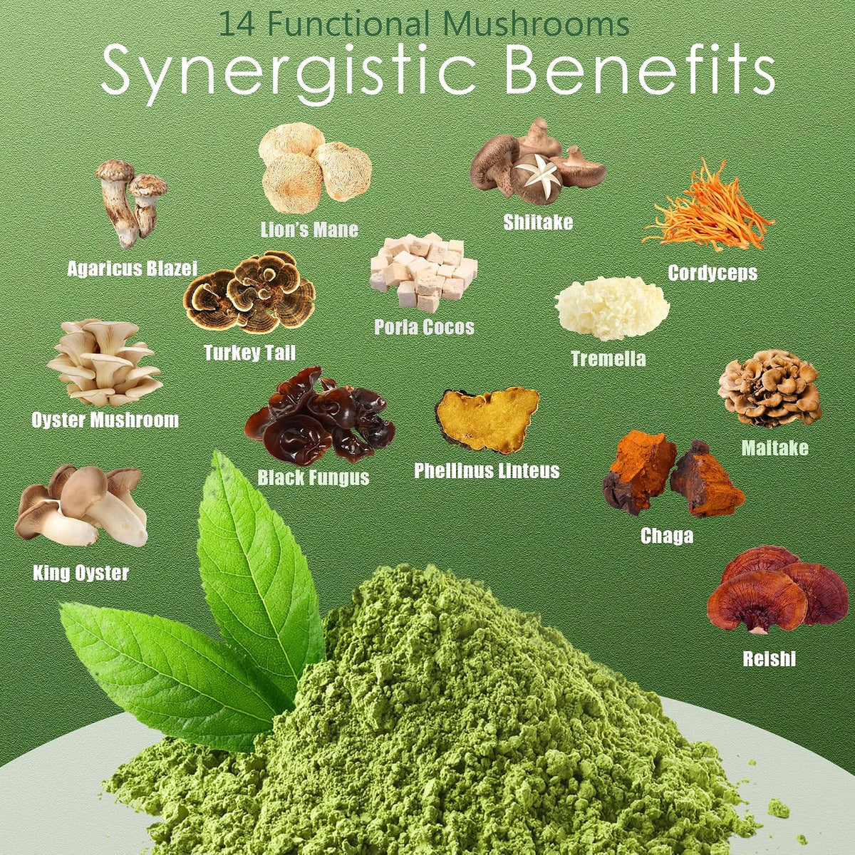 Mushroom Matcha Latte, Ceremonial Matcha Green Tea Powder with 14 Mushrooms, Probiotics and MCT Powder | Lion's Mane, Reishi & Chaga | Instant Latte Mix, Non-GMO, Vegan & Sugar-Free | 6.35 Oz