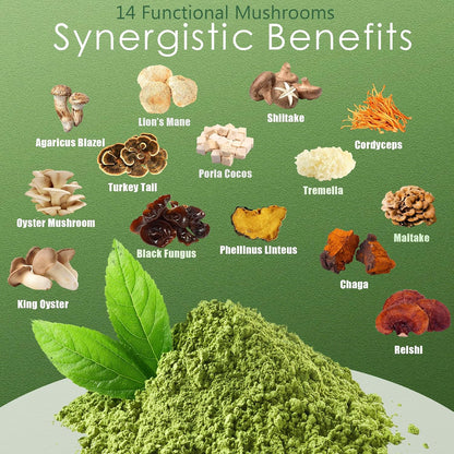 Mushroom Matcha Latte, Ceremonial Matcha Green Tea Powder with 14 Mushrooms, Probiotics and MCT Powder | Lion's Mane, Reishi & Chaga | Instant Latte Mix, Non-GMO, Vegan & Sugar-Free | 6.35 Oz
