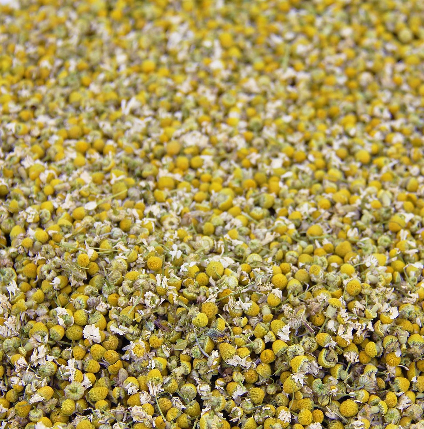 Lemon Balm (Herbal Tea): (Melissa Officinalis Caffeine Free) - Balm Leaf (Cut and Sifted), 1lb (16Oz) U.S. Wellness Bulk Tea