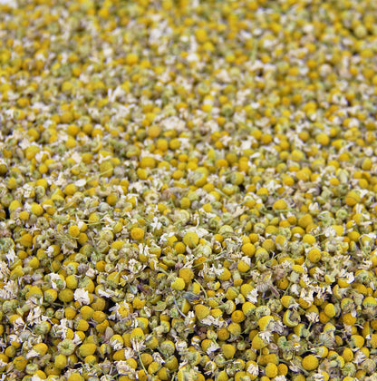 Lemon Balm (Herbal Tea): (Melissa Officinalis Caffeine Free) - Balm Leaf (Cut and Sifted), 1lb (16Oz) U.S. Wellness Bulk Tea